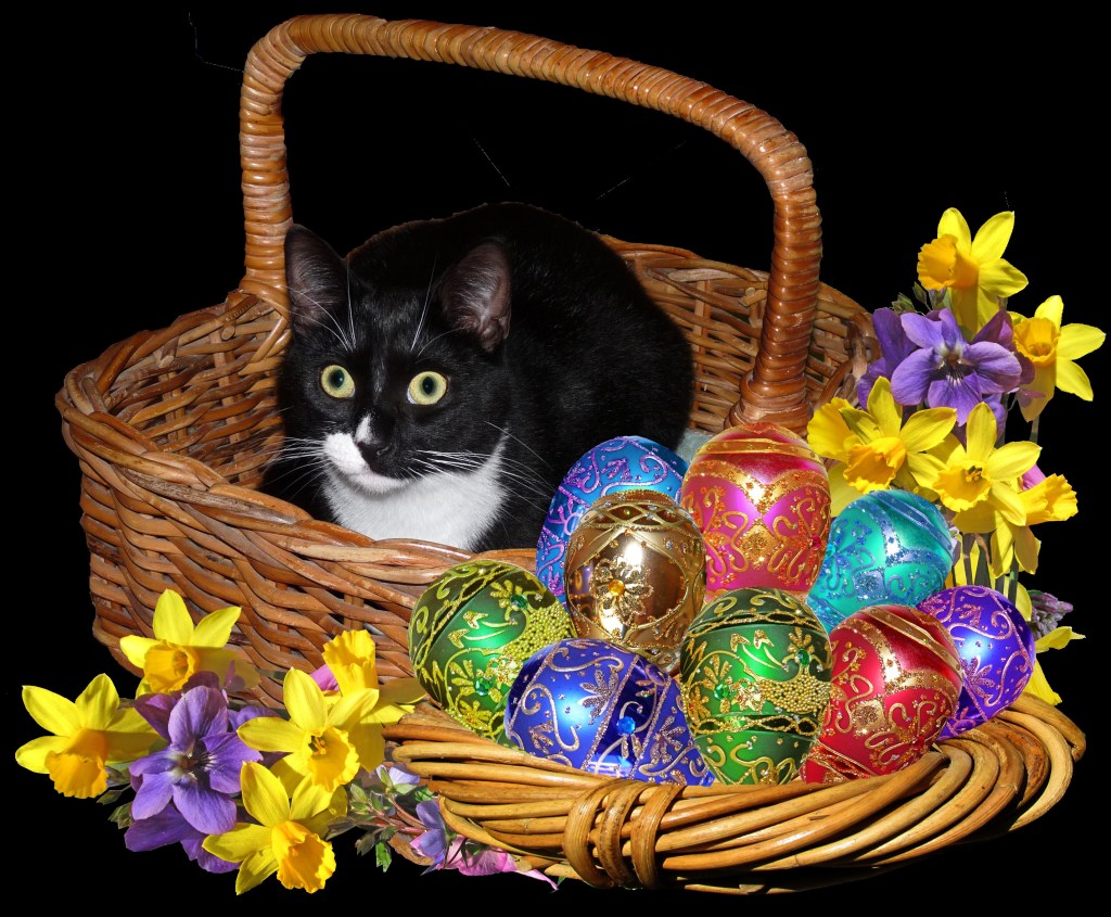 A small black and white cat with large light green eyes in a brown wicker basket surrounded by colourful easter eggs, daffodils and purple flowers